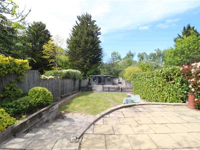 Picture 21